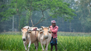किसान योजनाओं की जानकारी – कृषि और वित्तीय सहायता | Yojna Samachar